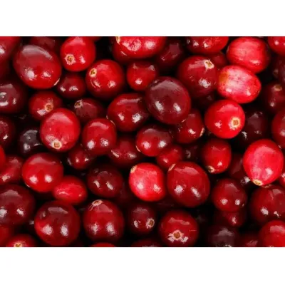 Arándano: su presencia en productos naturistas actuales