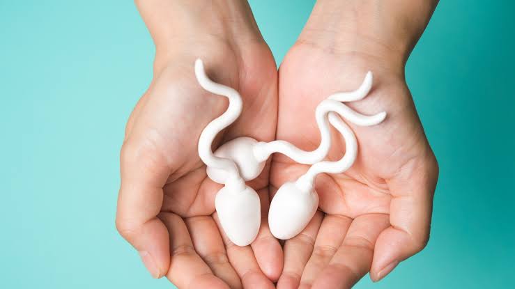 Es posible aumentar la cantidad de semen al eyacular mito o realidad...
