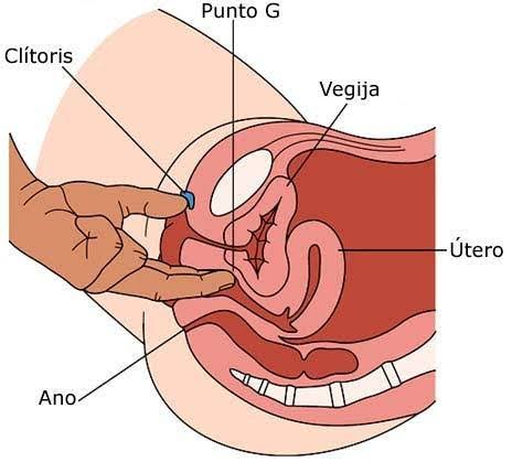 Maneras correctas de estimular el punto G