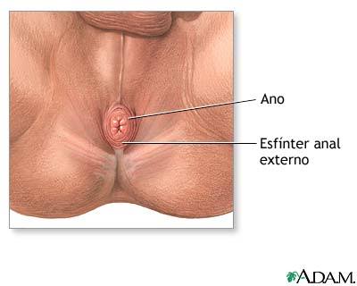 Mejores métodos para preparar el ano antes de sexo anal.