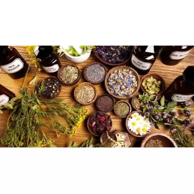 Productos naturistas de alta rotación: cuáles se compran más y por qué